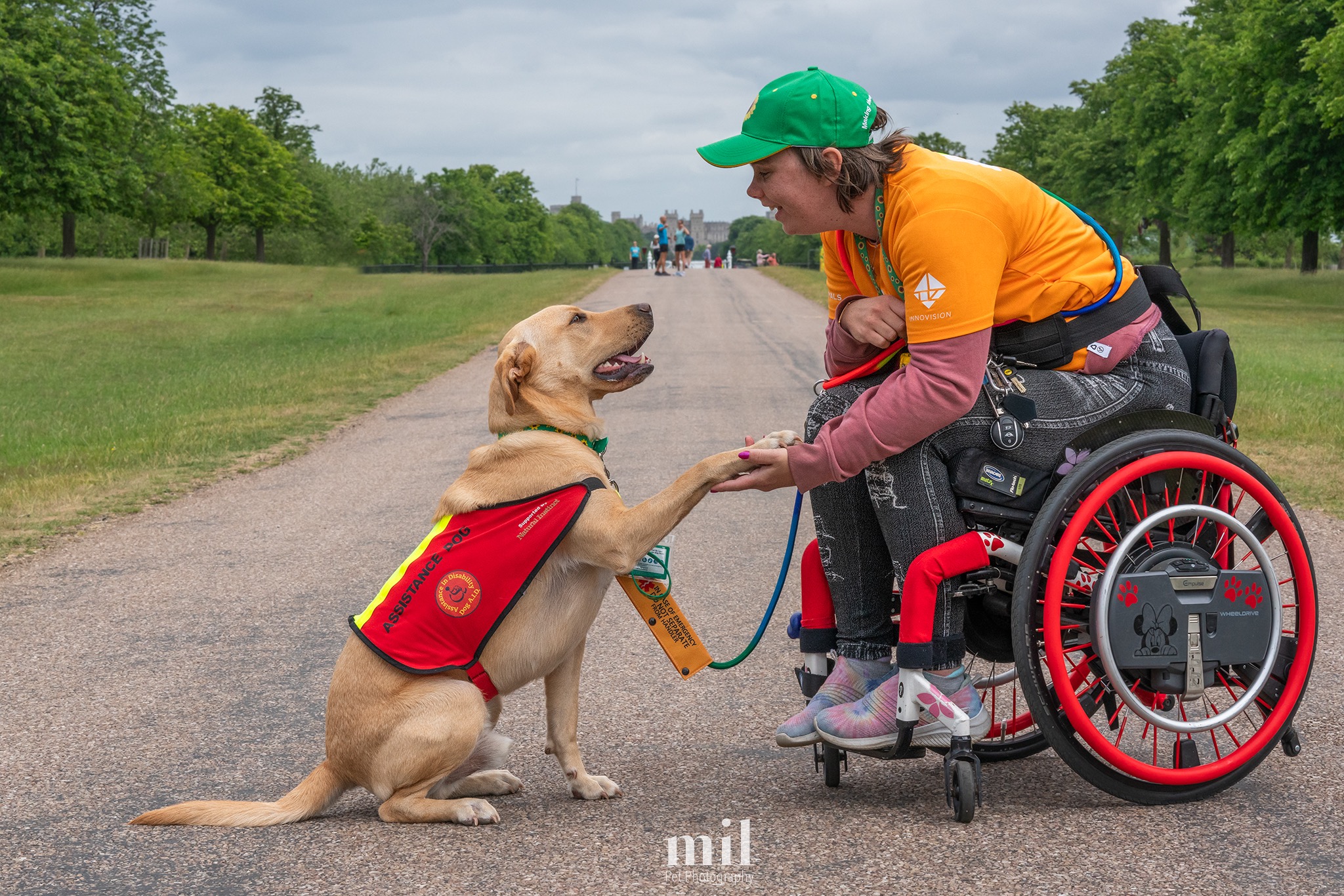 A photo of Nurse ChloÃ« sitting in her red wheelchair and Ocho the Assistance Dog on the long walk in Windsor. Ocho is giving ChloÃ« his paw with the castle behind them. Ocho is wearing his red and yellow DogAID vest and ChloÃ« is wearing an orange parallel Windsor race T-shirt and a green sunflower lanyard scheme hat.