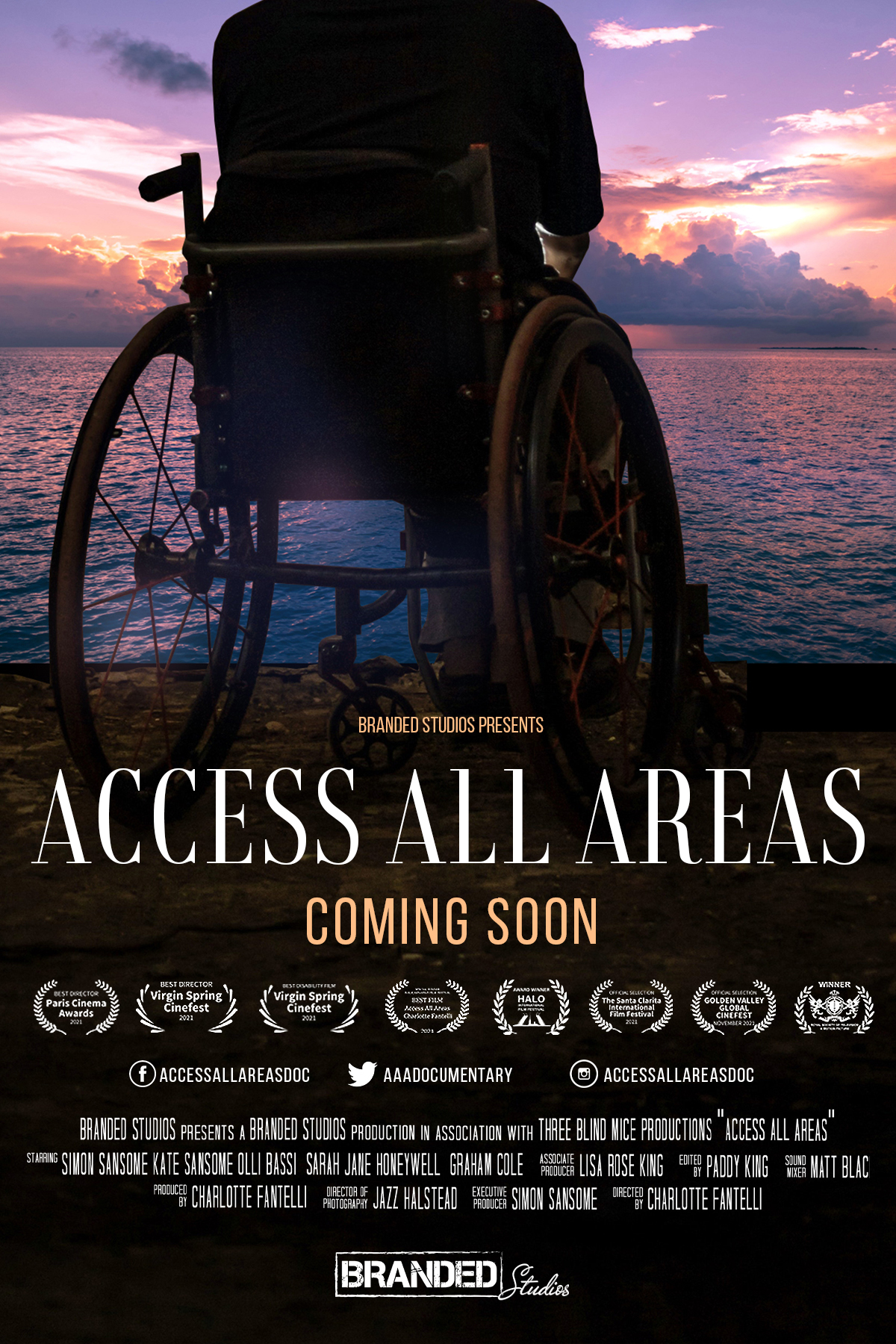 an image of a movie poster with the title, access all areas, and a picture of a man in a  wheelchair facing out to sea